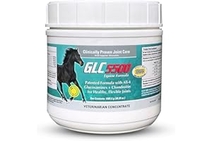 GLC Direct 5500 Equine Formula - Glucosamine Chondroitin Joint Supplement for Horses - All Four Types for Healthy, Flexible Joints - 100% Pure Powder Concentrate - 38.12oz, 90 Day Supply