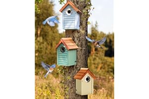 Cedar Alpha Bluebird Bird Houses for Outside Clearance - Set of 3 Nest Box with Stainless Steel Predator Guard - Alaskan Red Cedar Shingles Roof - UV Painting - 10 Years Outdoor(Beach Hut Houses)