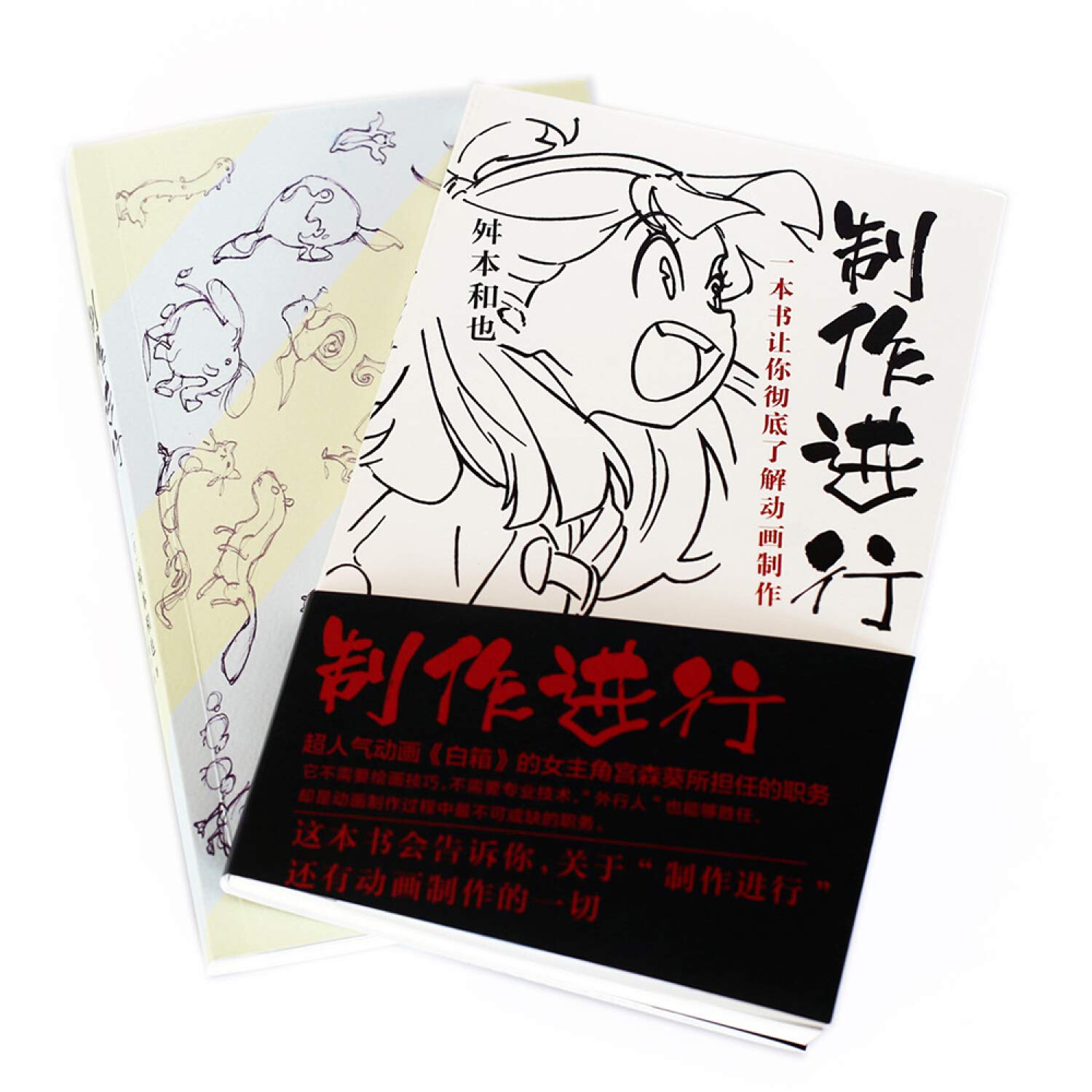 制作进行 一本书让你彻底了解动画制作 舛本和也王维幸 Amazon Com Books