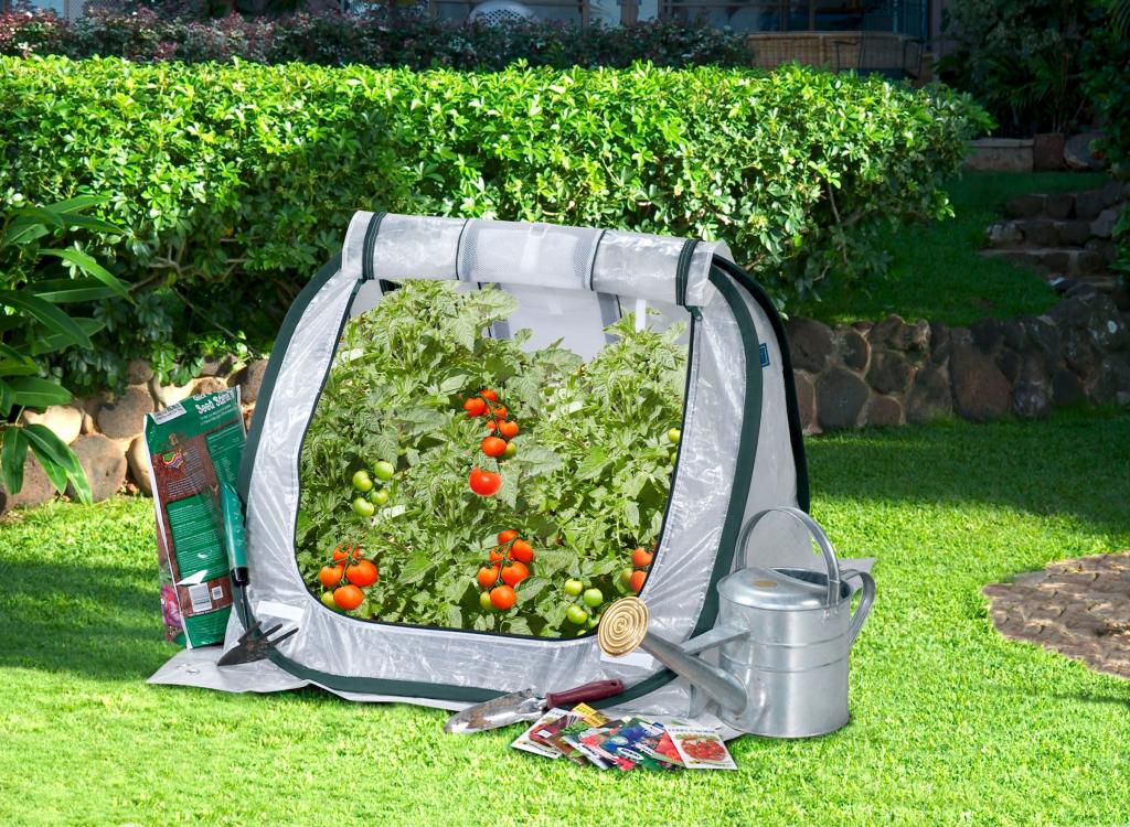 Amazon.com : Flower House FHSD110 SeedHouse Jr. Seed Starter ...