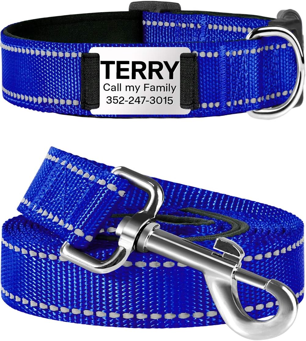 boy dog collars and leashes