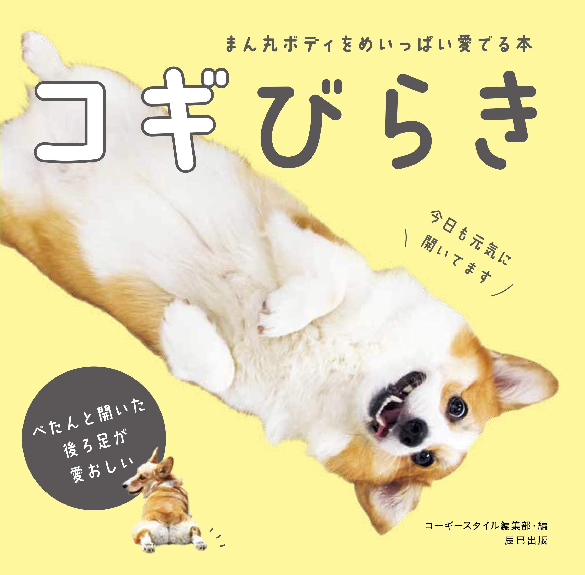 祈り 失効 銃 こぎ こぎ コーギー 町 強度 サイトライン