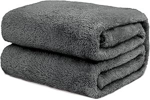 OBINSM Fleece Throw Blanket Cozy Soft Lightweight Throw Blankets Warm Plush Grey Fall Blankets and Throws Couch Sofa Bed Camping Travel Picnic Outdoor Blanket Bedding Kid Baby Boys Girls Adults 40x50 in