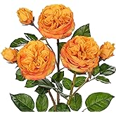Arborus Real Touch Artificial Roses (Set of 3) – 23.6" Long Stem Orange Garden Roses – Lifelike Faux Silk Flowers for Wedding Bouquets, Home Décor, Centerpieces & Floral Arrangements