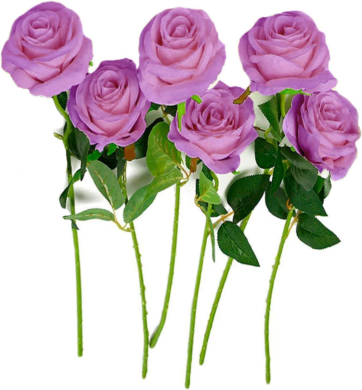 ROSA DORMANT Real Single Preserved Rose That Last a Year | Natural Long Stemmed Lavender Roses for Grandma | Purple Rose Flower for Wife | Great Love Gifts for Girlfriend