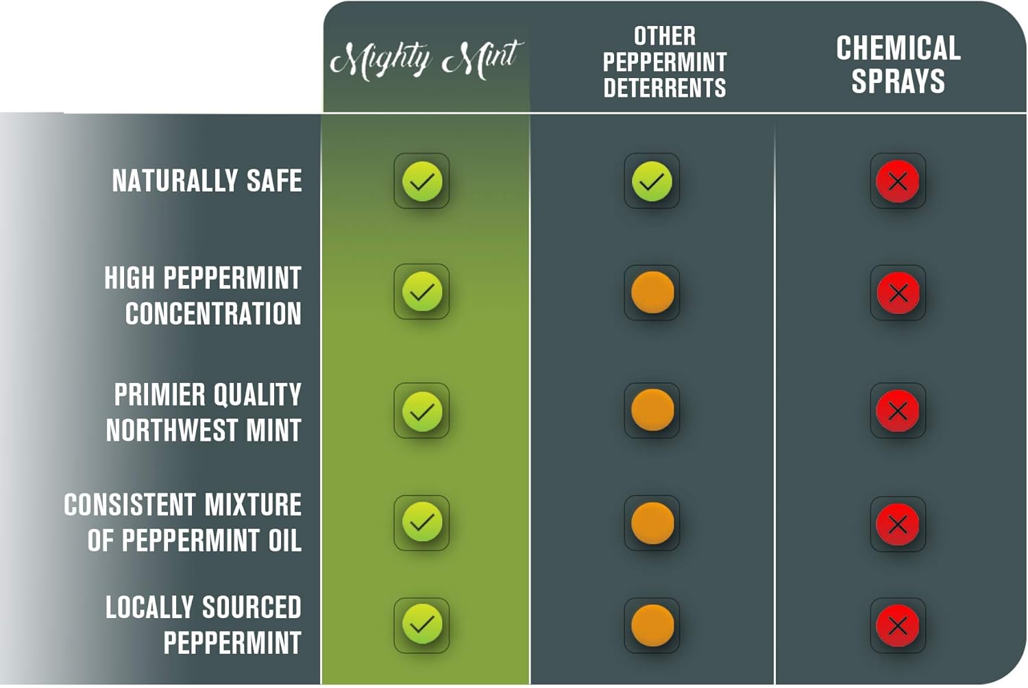 16oz Peppermint Oil Rodent Repellent Spray: Health & Personal Care
