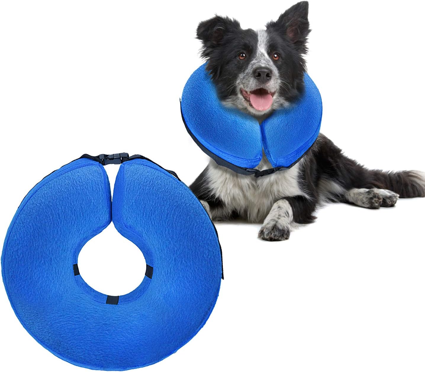 soft dog collar post surgery