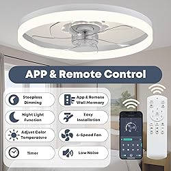 Fszdorj 20‘’ Ceiling Fan with Light, Upgraded