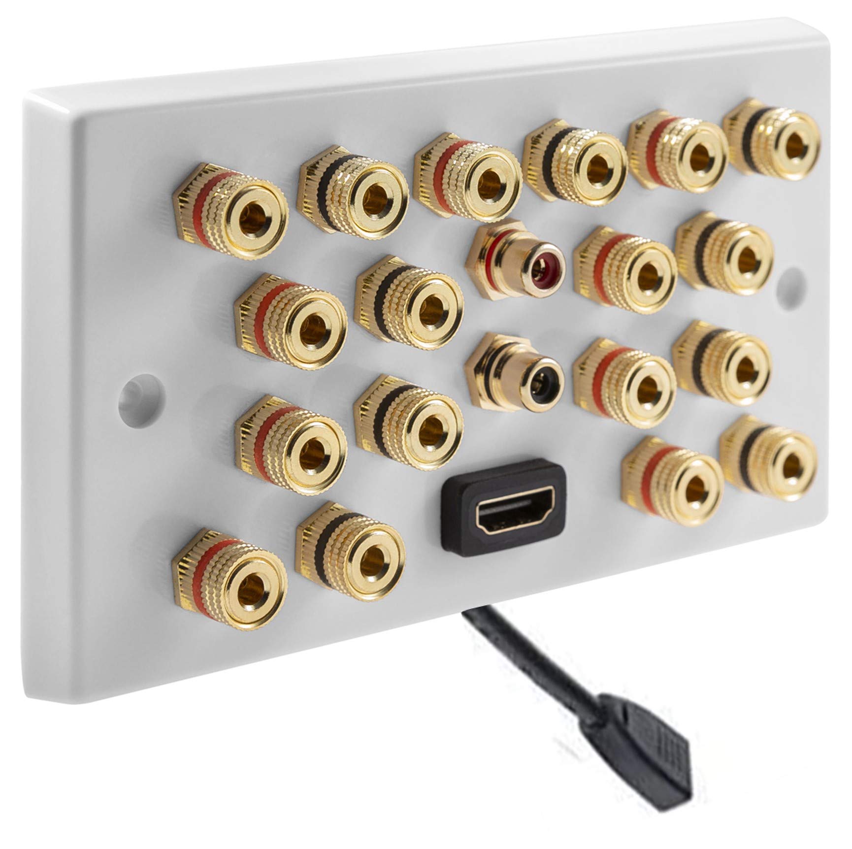 MSG Custom Audio 9.2 Surround Sound Speaker Wall Plate with Gold Binding Posts + 2 x RCA Sockets + 1 x HDMI FLEXIBLE FLYLEAD. NO SOLDERING REQUIRED