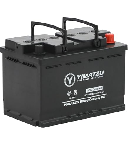 BOSCH PSR-55B24L PS Battery, Domestic Car, Charging Control