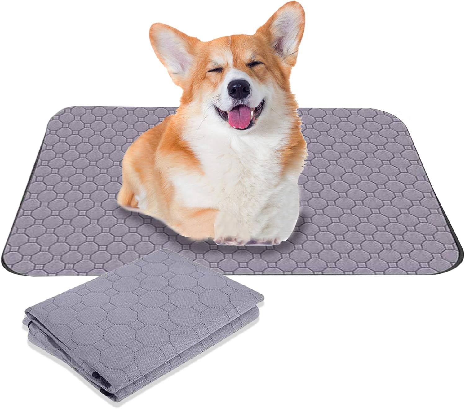 Vk Pee Accident Vk Pee Accident