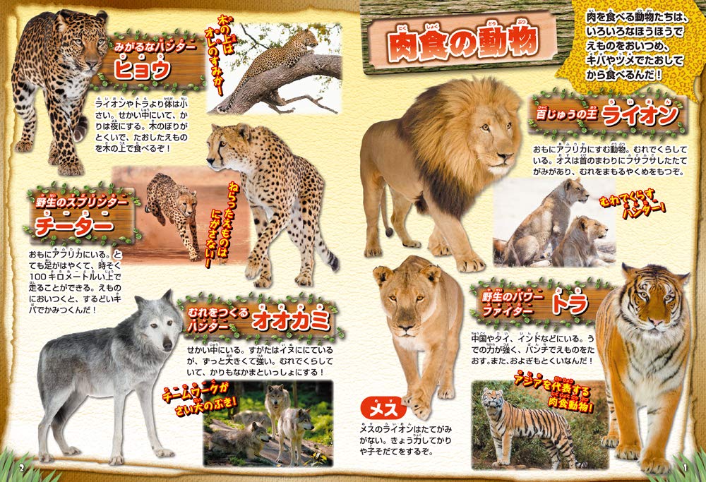 動物フィギュア図鑑dx 永岡書店編集部 本 通販 Amazon