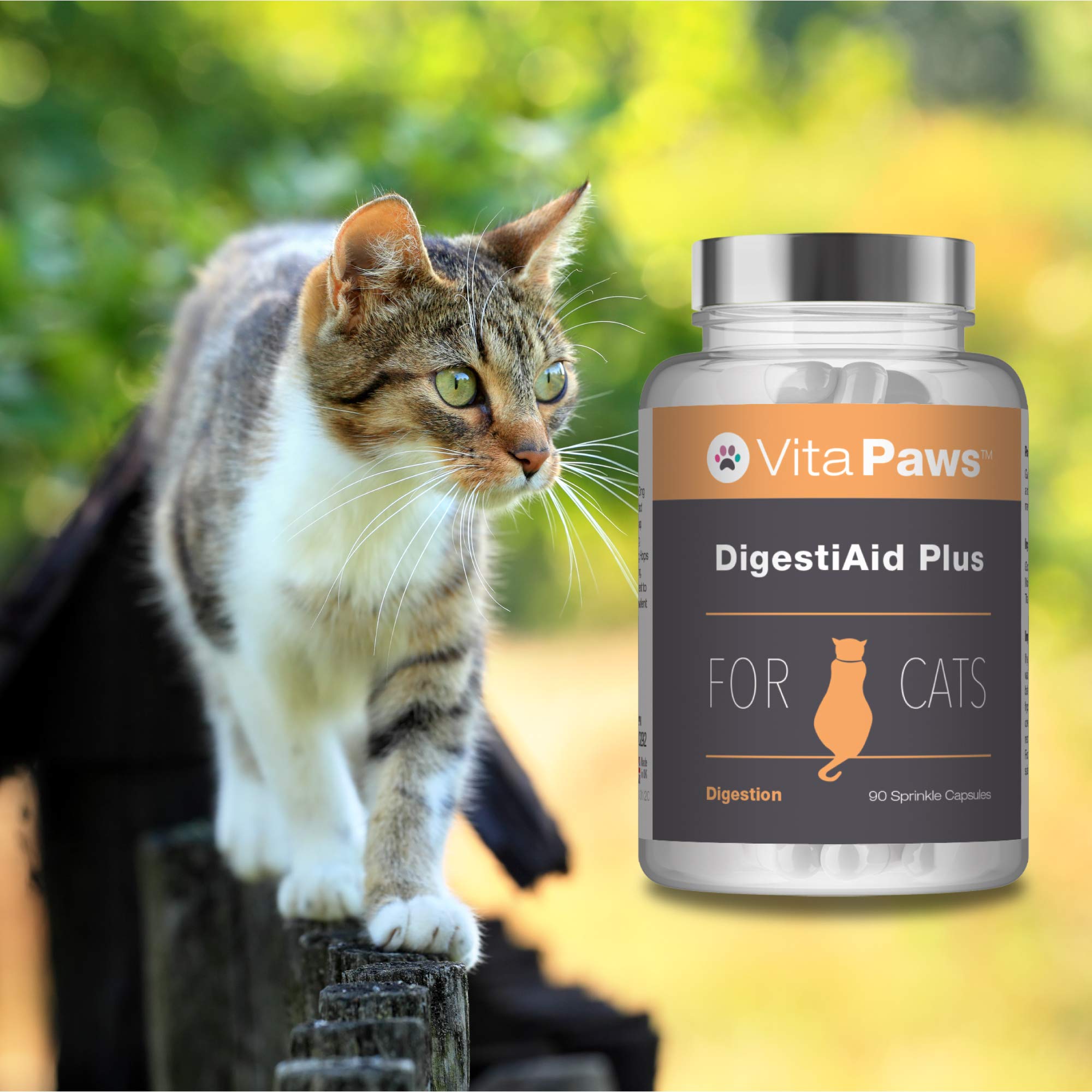Probiotics for Cats DigestiAid Offers Friendly Bacillus Coagulans