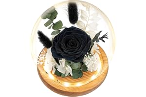 REGALO FLOR Preserved Flowers Bouquets Forever Roses Gifts, Long-Lasting Roses Flowers for Delivery Prime, Forever Flowers with LED Lights (Battery Included), Birthday Gift, Mothers Day, Christmas