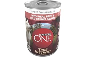 Purina ONE High Protein Wet Dog Food True Instinct Tender Cuts in Dog Food Gravy With Real Beef and Wild-Caught Salmon - (Pac