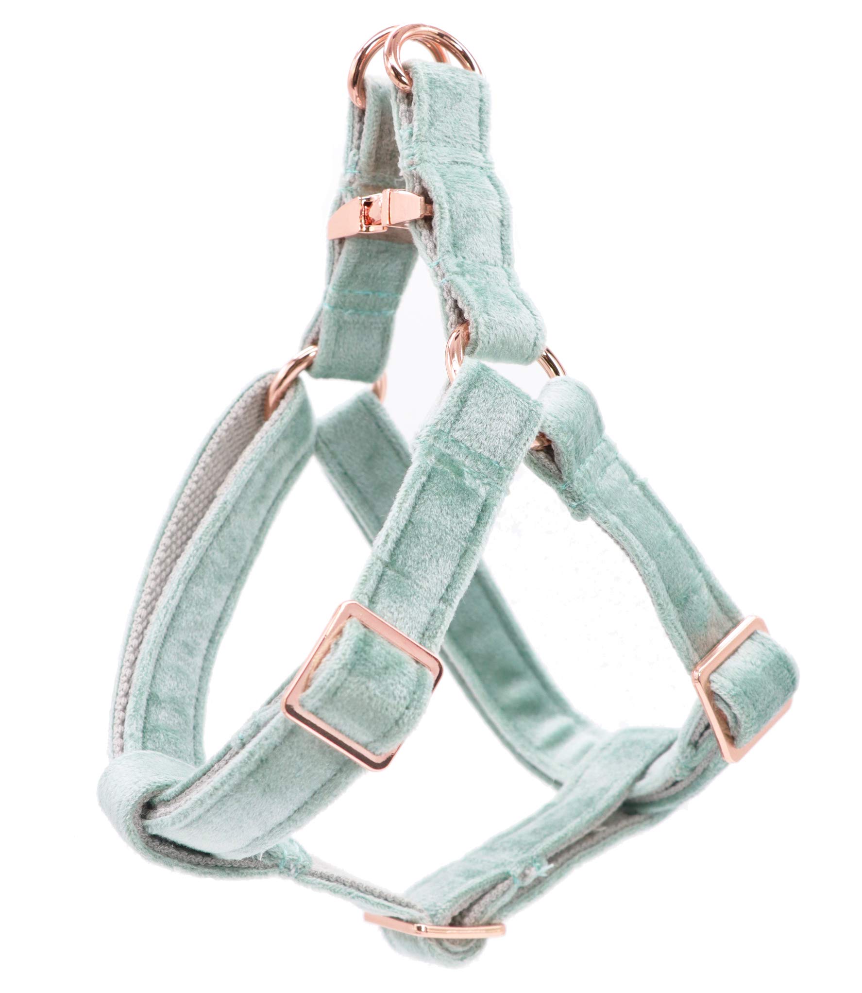 ARING PET Green Dog Harness, Soft and Comfortable Velvet Dog Harness with Adjustable Heavy Duty Metal Buckle for Boy and Girl Dogs, Medium