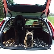 45 Orijen Puppy Large Amazon Photos