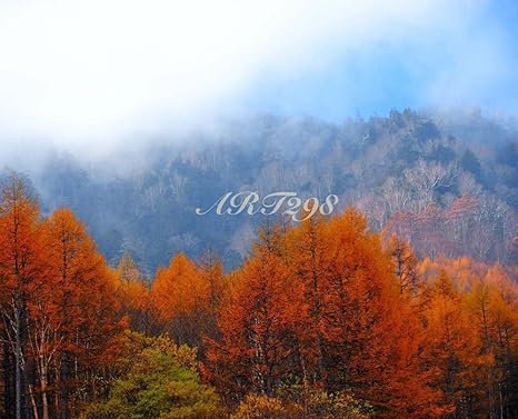 Amazon Co Jp 風景写真ポスター 長野県蓼科高原の秋57 信州の自然を最高級の素材とこだわりのプリントで再現 サイズ 59 4 50 0cm ホーム キッチン