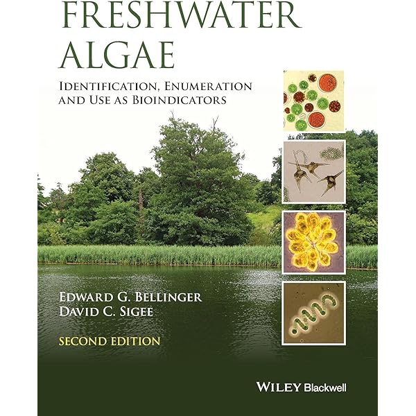 Larval Fish Nutrition: Holt, G. Joan: 9780813817927: Amazon
