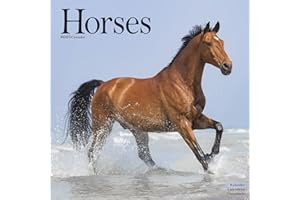 Horse Calendar - Calendars 2022 - 2023 Wall Calendars - Animal Calendar - Horses 16 Month Wall Calendar by Avonside