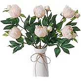 GAUIOGI 6Pcs Realistic Champagne Artificial Peony Flowers,18.9 Inch Double Heads Silk Fake Peonies Flowers with Long Stem for Vase Arrangement,Wedding Centerpieces,Indoor Decor