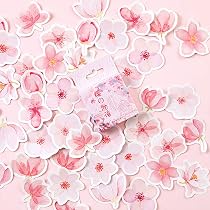 Amazon.com: 45PCS Small Scrapbooks Laptop Stickers, Doraking Boxed ...