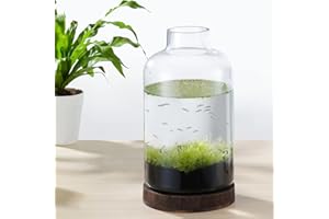 PONDON 1 Gallon Fish Bowl Vase, Featured Aquarium Kit Aquariums Channel, Wooden Base and Water Changer Included