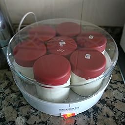 SEVERIN Yogurtera, Incl. 7 Tarros de 150 ml, Marcador de Memoria ...