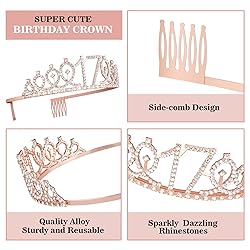 17th Birthday Decorations for Girls Including