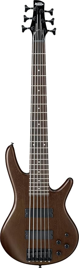 Image result for ibanez gsr206 6-string electric bass