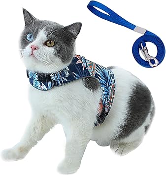 Amazon 猫 猫用 ハーネス 胴輪 首輪 犬猫兼用 小型犬 ウサギ ソフト胸あて リード付き 抜けない 夜反射 メッシュハーネス 迷子防止ラベル付き 電話番号記入 通気性抜群 超軽量 マジックテープ式装着 反射ストライプ付き 可愛い お散歩用 ポリエステル素材 L ブルー Amazon 猫 猫用 ハーネス 胴輪 首輪 犬猫兼用 小型犬 ウサギ ソフト胸あて リード付き 抜けない 夜反射 メッシュハーネス 迷子防止ラベル付き 電話番号記入 通気性抜群 超軽量 マジックテープ式装着 反射ストライプ付き 可愛い お散歩用 ポリエステル素材 L ブルー