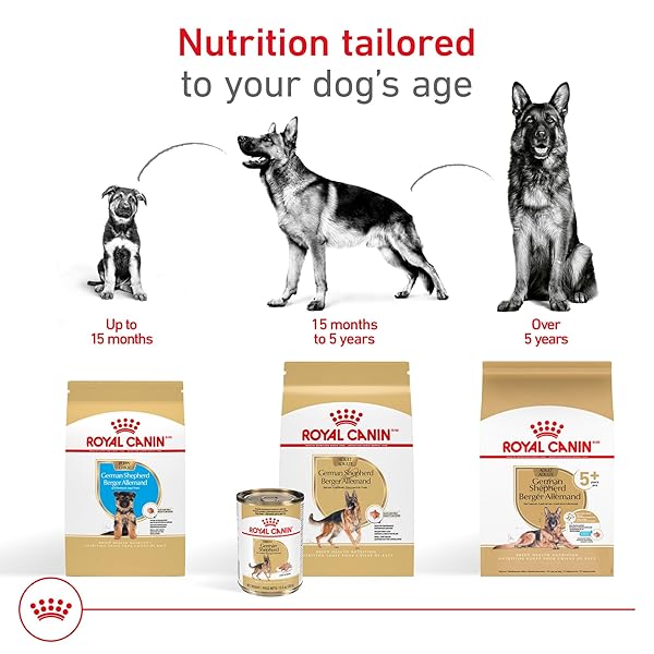 ROYAL CANIN BREED HEALTH NUTRITION GERMAN SHEPHERD ADULT LOAF IN SAUCE DOG FOOD, 13.5 OZ (PACK OF 12)