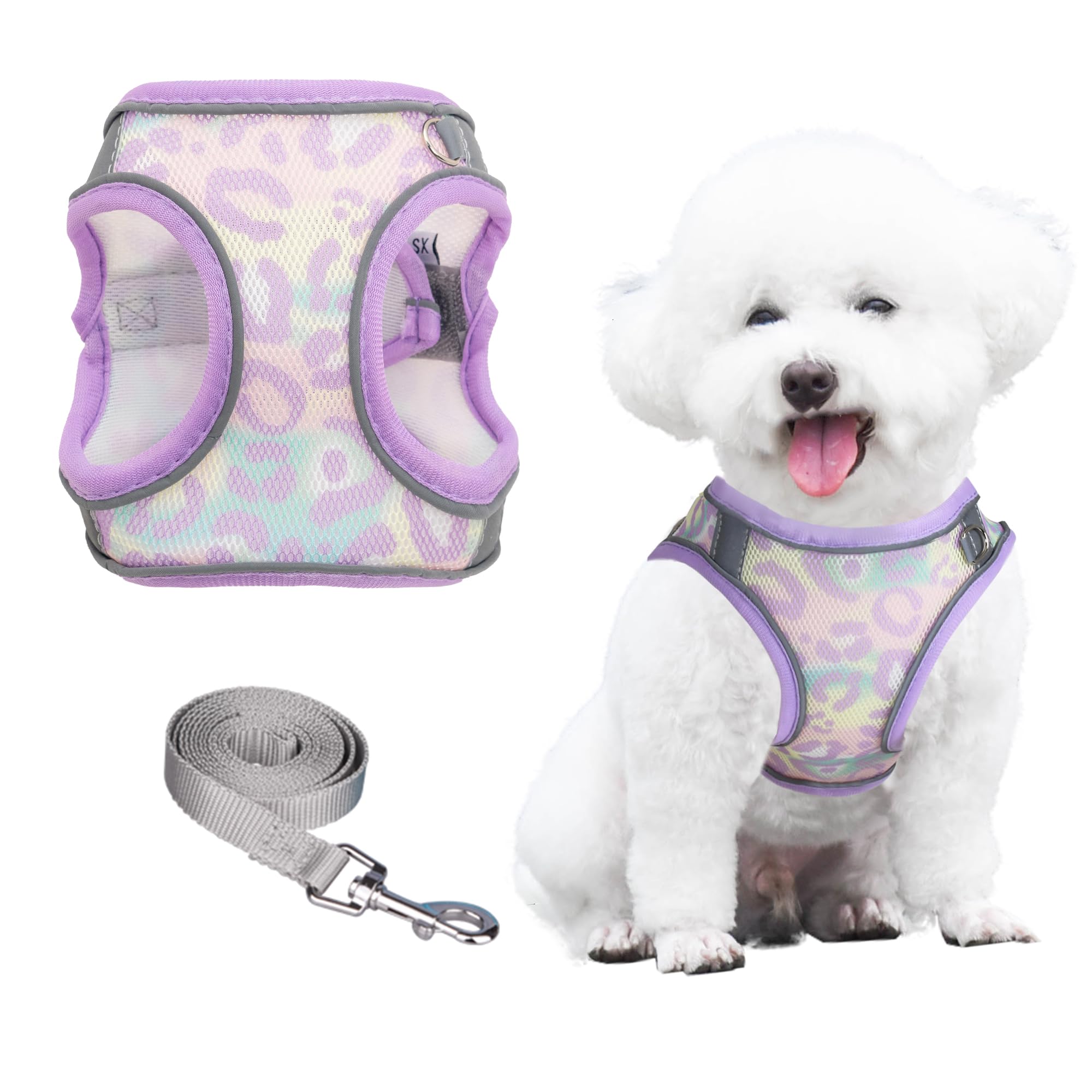 PawSailor No Pull Dog Harness and Leash Set, Step-in Floral Print Adjustable Breathable Mesh Pet Harness, Reflective Soft Padded Dog Vest for Small Dogs Lavender XXS