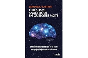 L'idéalisme analytique en quelques mots (French Edition)