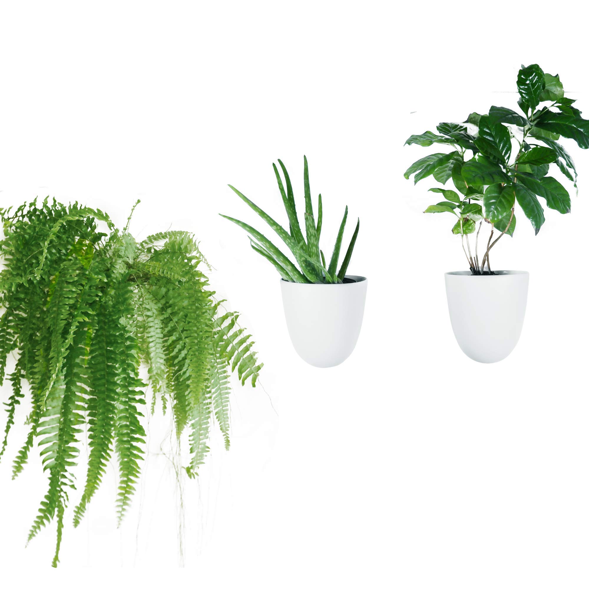 Photo 1 of PlantPod Luxe Self-Watering Wall Planters (Set of 3) - Easy to Water and Install - Lightweight - Design Your Own Vertical Garden - Wall Planters for Indoor Plants