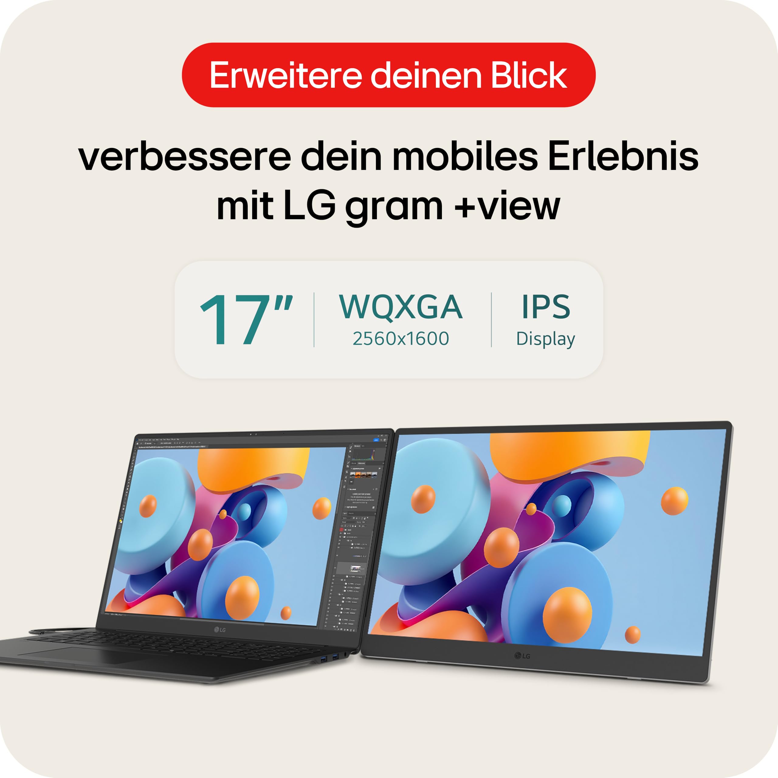 LG gram +View 17MT70.ASDWU (17 Zoll) WQXGA Portable IPS Monitor, USB-C, Mini-HDMI, Silber 2