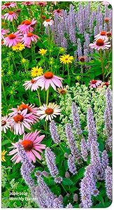 kindle best category lists