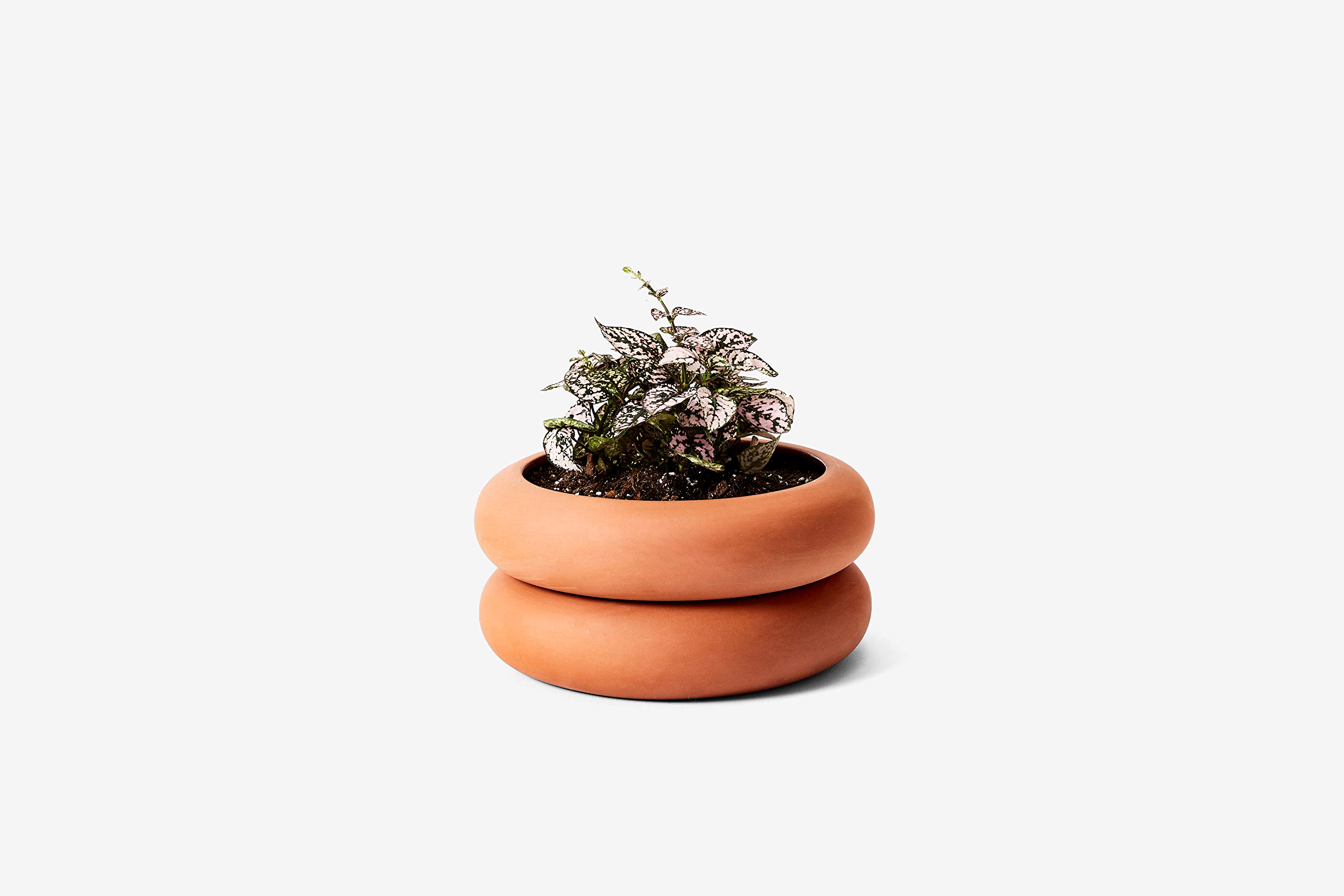 Areaware Stacking Planter Terracotta (short)