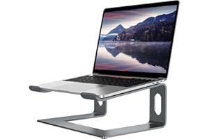 ALASHI Laptop Stand for Desk, Aluminum Computer Riser, Ergonomic Notebook Holder, Detachable Metal Laptops Elevator, PC Cooling Mount Support 10 to 15.6 Inches Notebook, Grey
