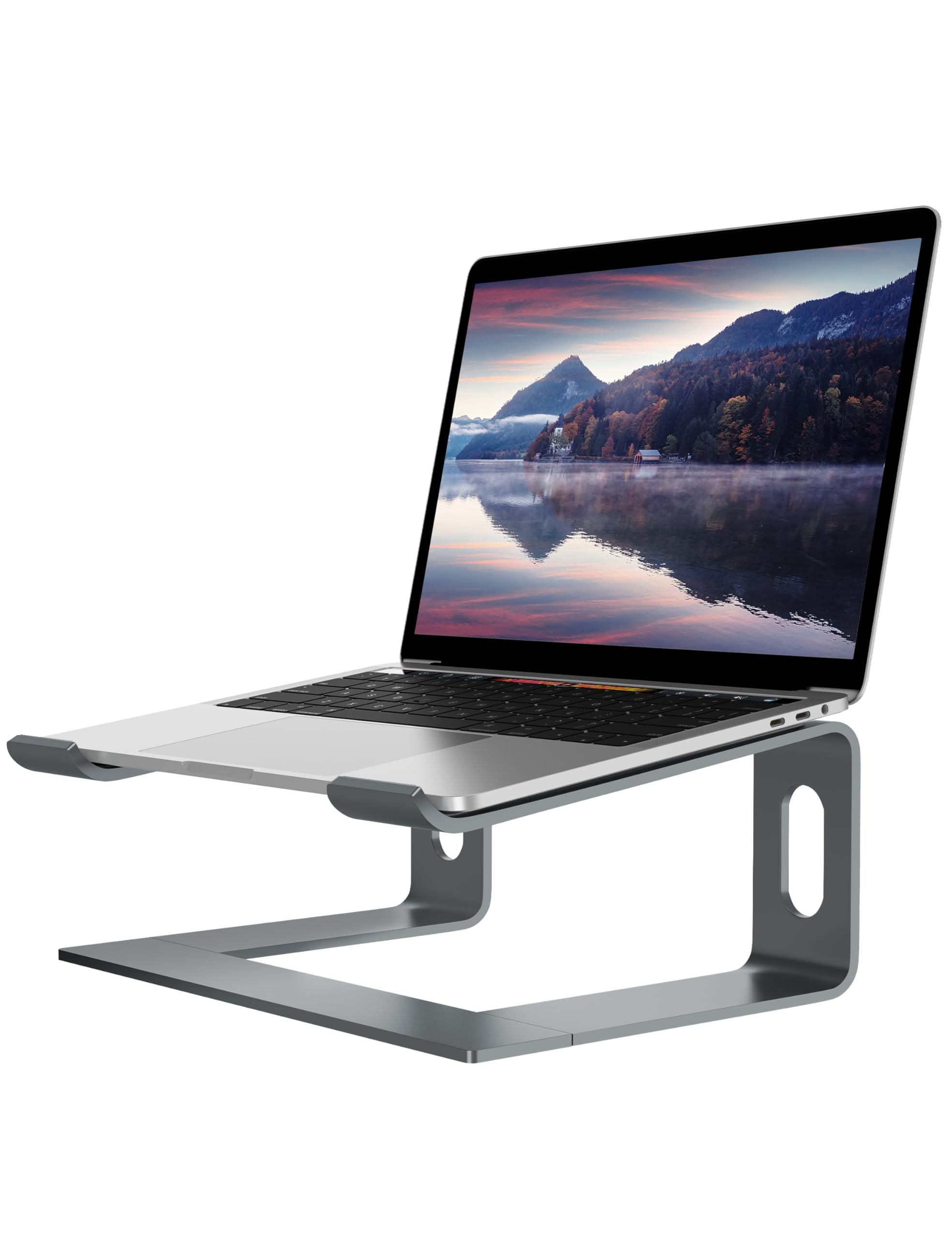 ALASHI Laptop Stand for Desk, Aluminum Computer Riser, Ergonomic Notebook Holder, Detachable Metal Laptops Elevator, PC Cooling Mount Support 10 to 15.6 Inches Notebook, Grey