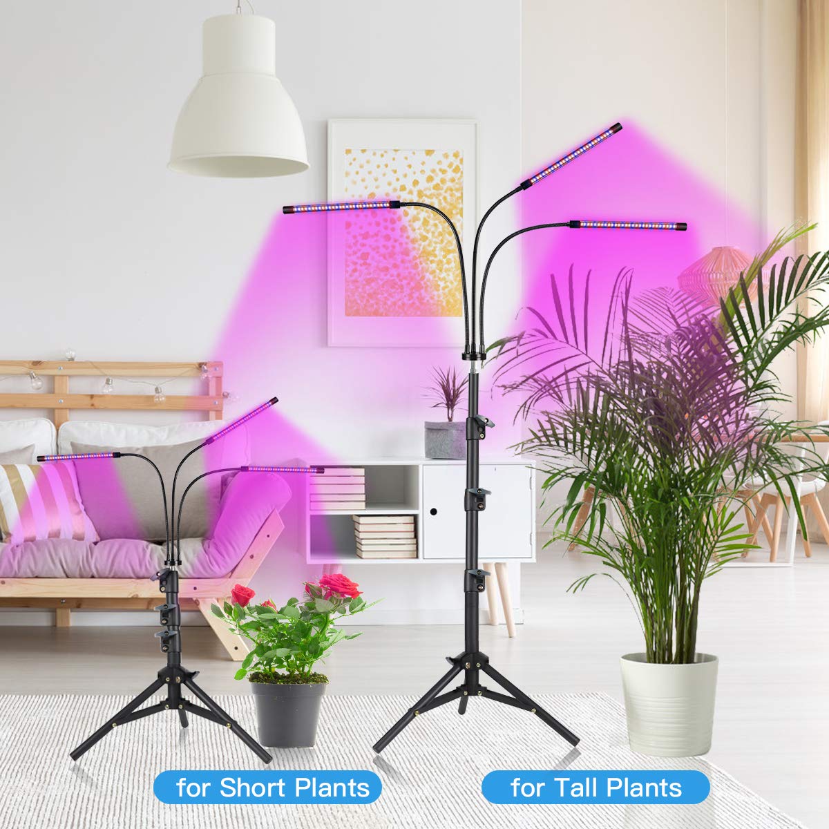 GooingTop Grow Light for Indoor Plants,5000K Full Spectrum Growing Plant Lamp with White Red Blue LED for Pots Succulents Seed Starting,Height Adjustable 10-32'' with Optional Dimming & Timer