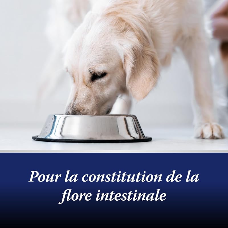 Flore Intestinale Chien - Prébiotiques et Probiotiques Chien - pour stabiliser la Digestion physiologique - Renforcer la Flore intestinale du Chien - 30 comprimés