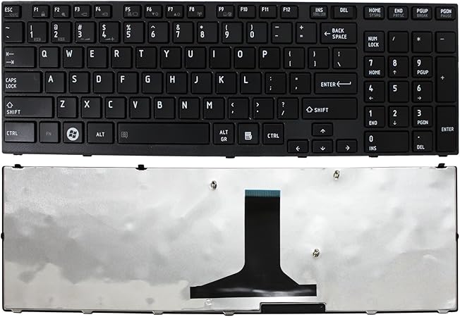 Toshiba Satellite A665 Keyboard Backlight Not Working