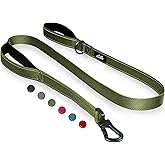TwoEar 4FT 1IN Strong Green Dog Leash with 2 Padded Handles, Traffic Handle Extra Control, Comfortable Soft Dual Handle, Auto Lock Hook, Reflective Walking Lead for Small Medium and Large Dogs