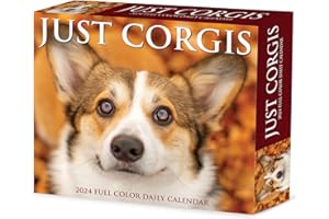 Willow Creek Press Corgis Daily 2024 Box/Desk Calendar (5.86" x 4.72")