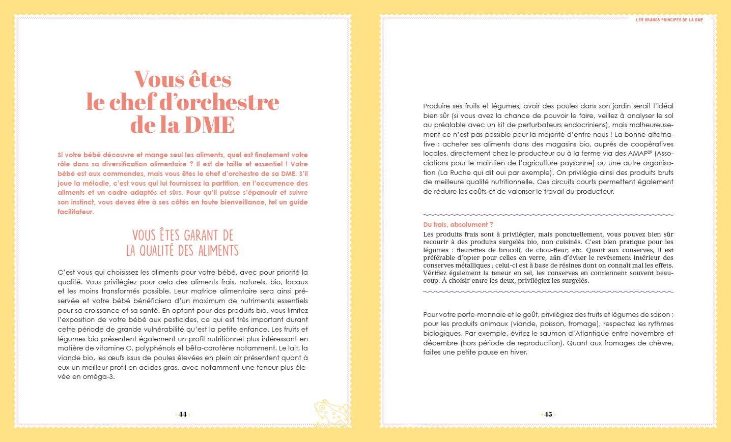 Le Grand Livre De La Dme Diversification Menee Par L Enfant Pas A Pas Zalejski Christine Rapley Gill Amazon Com Books