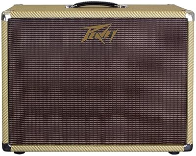 Top 10 Best Guitar Speaker Cabinets For The Money 2020 Reviews