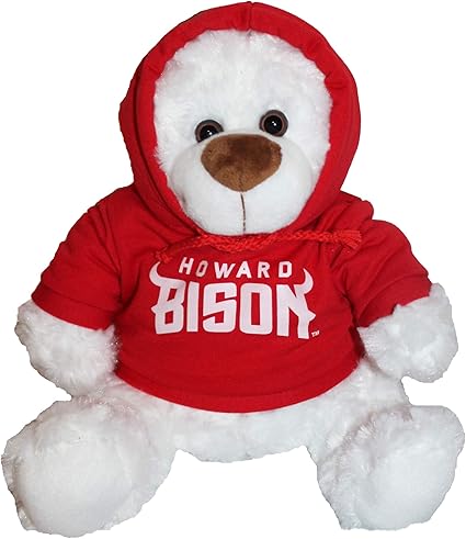 red teddy bear hoodie