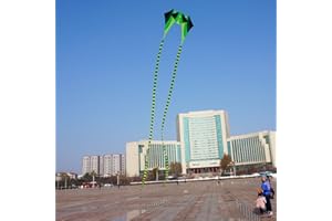 Besra Large Single Line 3D Diamond Flowing Frog Kite with 2 Long Tails Outdoor Fun Sports for Kids & Adults