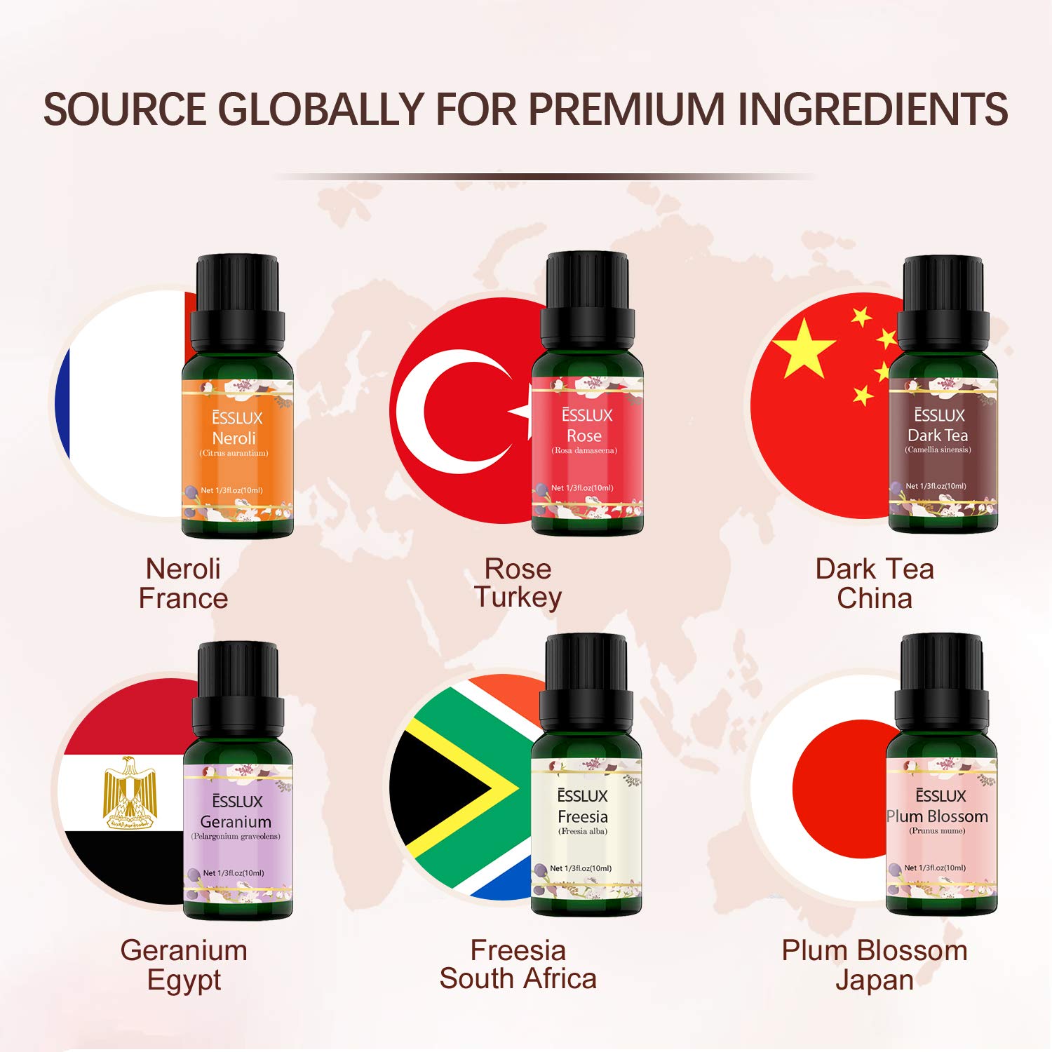 Essential Oils Set, ESSLUX Floral Collection with Rose, Neroli, Geranium, Freesia, Plum Blossom, Dark Tea Essential Oils, Perfect for Diffuser, Home Fragrance & Massage, 6x10 ML: Beauty